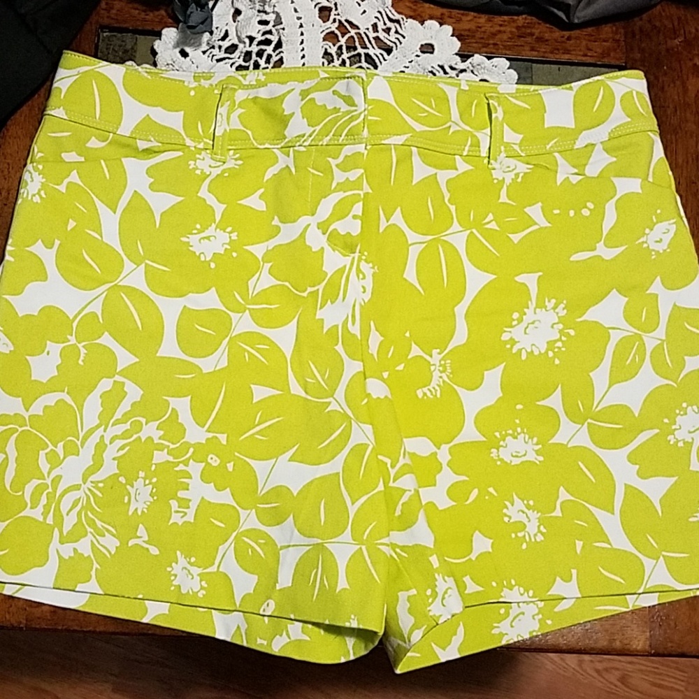 The Limited Shorts